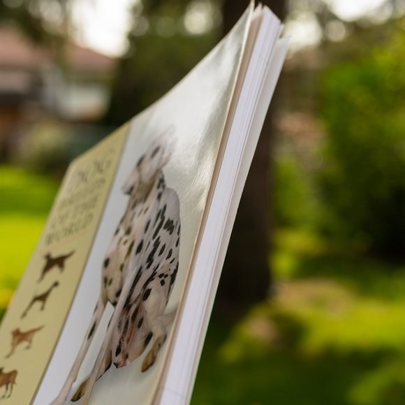 Book: Dog Breeds of the World - Picture 7 of 8